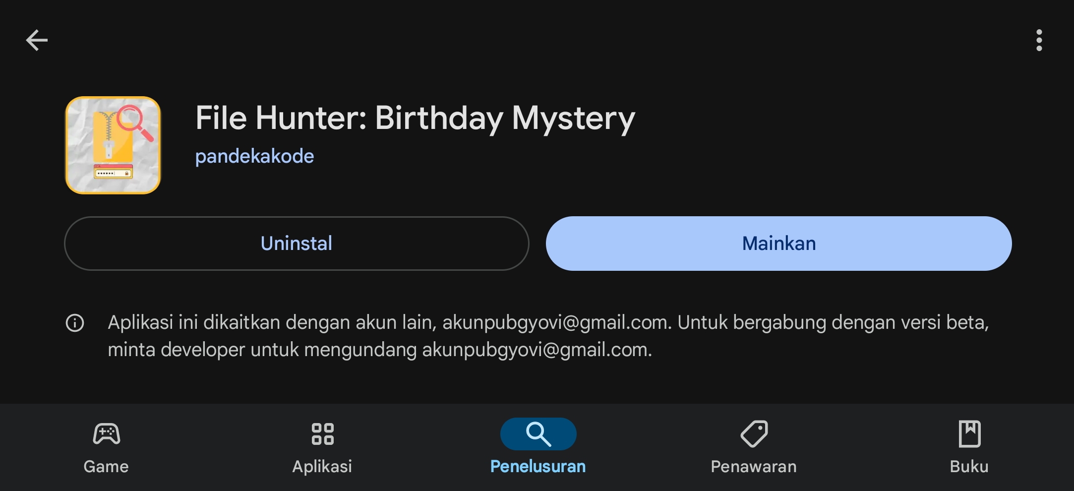 File Hunter : Birthday Mystery website preview image